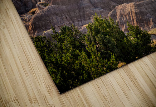 Badlands VII Rick Berk puzzle