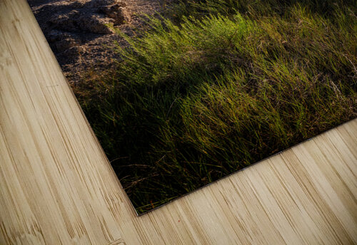 Badlands VI Rick Berk puzzle