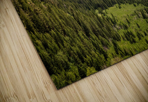 Sun Valley II Rick Berk puzzle