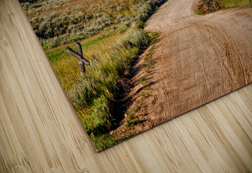 Alpine Peak Rick Berk puzzle