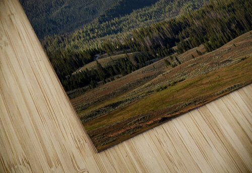 Williams Peak Rick Berk puzzle