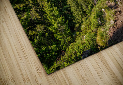 Grand Mogul Rick Berk puzzle