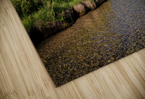 Fishhook Creek Rick Berk puzzle