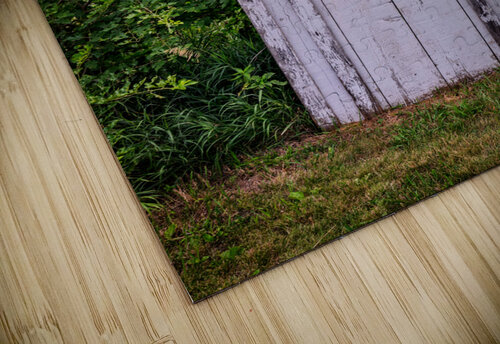 The Outhouse Rick Berk puzzle