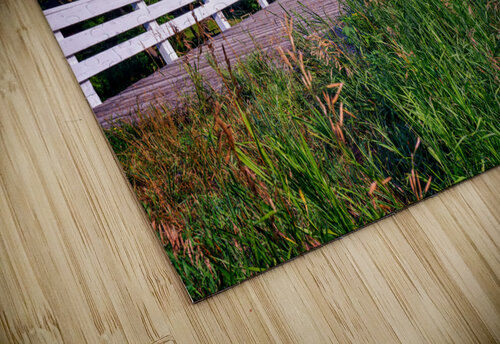 Roseman Bridge Rick Berk puzzle
