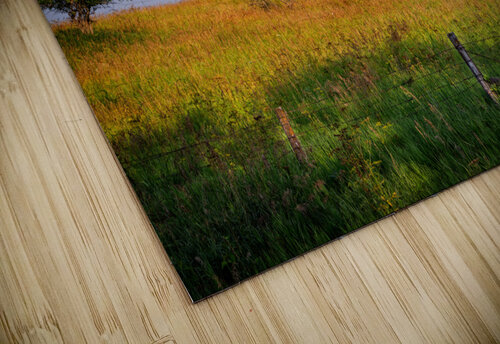 The Old Windmill Rick Berk puzzle