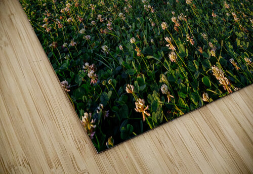 Imes Covered Bridge Rick Berk puzzle