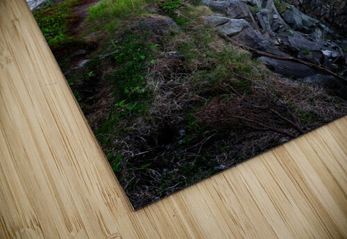 Promontory Rick Berk puzzle