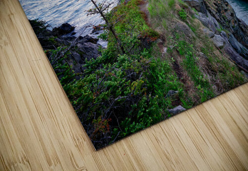 Promontory Rick Berk puzzle