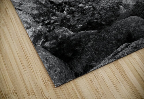 Granite & Glass Rick Berk puzzle