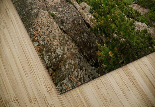 Vista Acadia Rick Berk puzzle