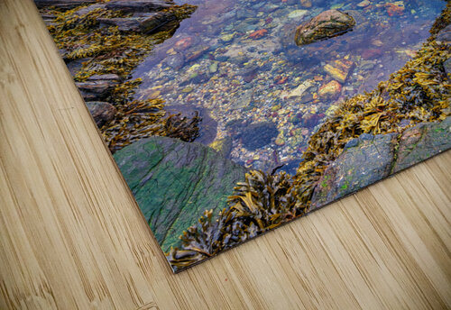 Tidal Serenity Rick Berk puzzle