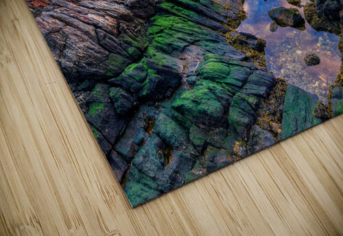 Tidal Serenity II Rick Berk puzzle