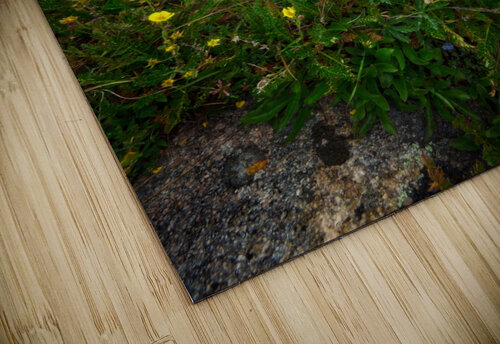 Alpine Cascade Rick Berk puzzle