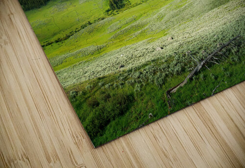 Mount Washburn Rick Berk puzzle