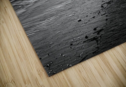 Popham Shoreline Rick Berk puzzle