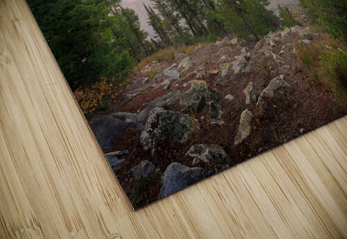 Jenny Lake Rick Berk puzzle