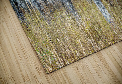 Aspens Rick Berk puzzle
