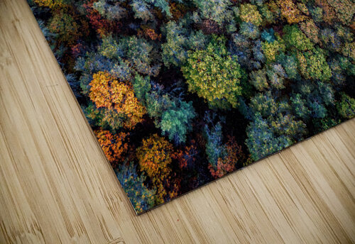 Autumn Canopy Rick Berk puzzle
