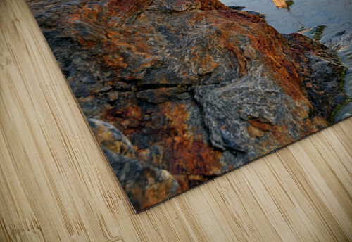 Tidal Reflection Rick Berk puzzle