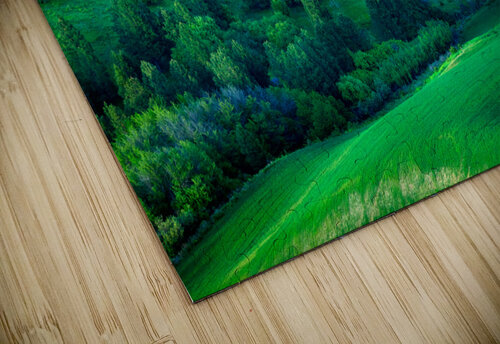 Palouse Shadows Rick Berk puzzle