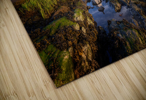 Watching the River Rick Berk puzzle