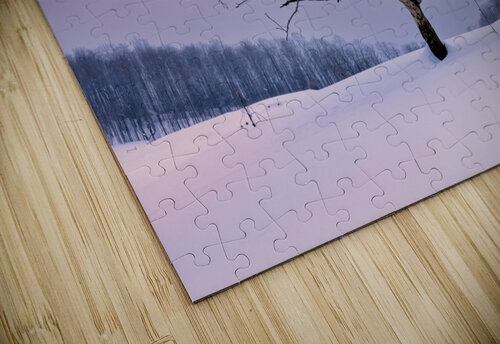 Winter Twilight Rick Berk puzzle