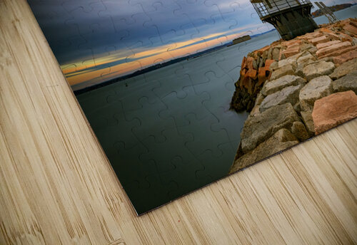 Spring Point Ledge Light Station Rick Berk puzzle