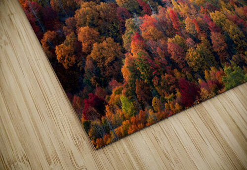 Newfound Gap Rick Berk puzzle