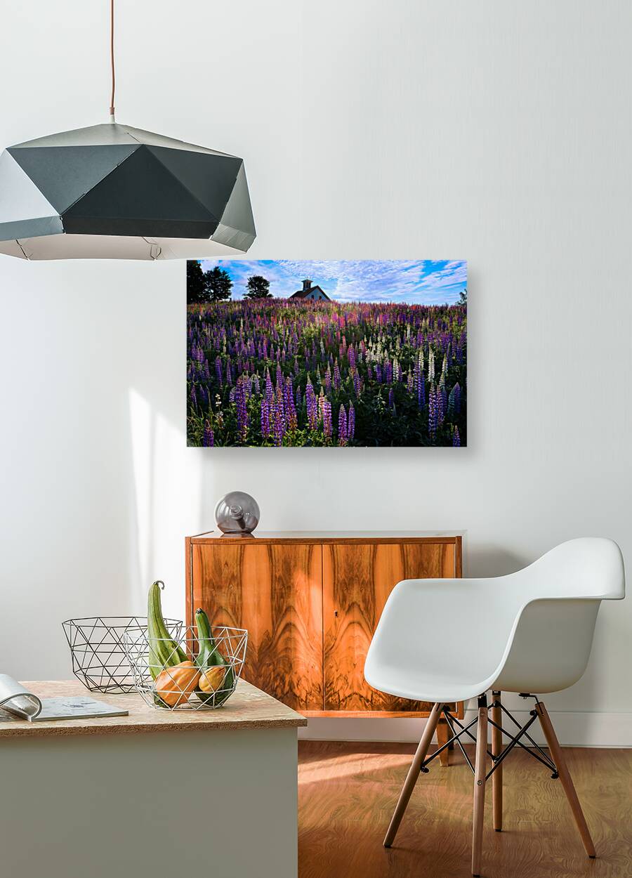 Spring Colors Reproduction