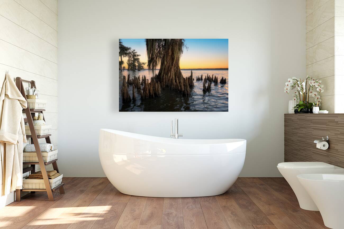 Cypress Shallows Reproduction