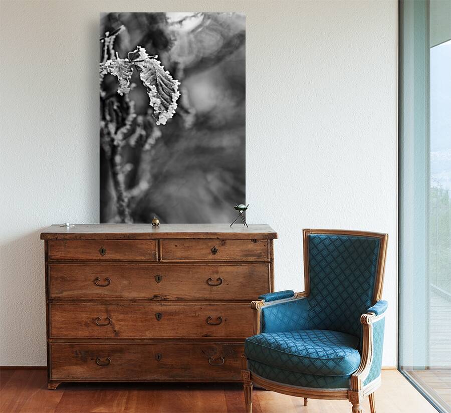 Crystalline Fringe Reproduction