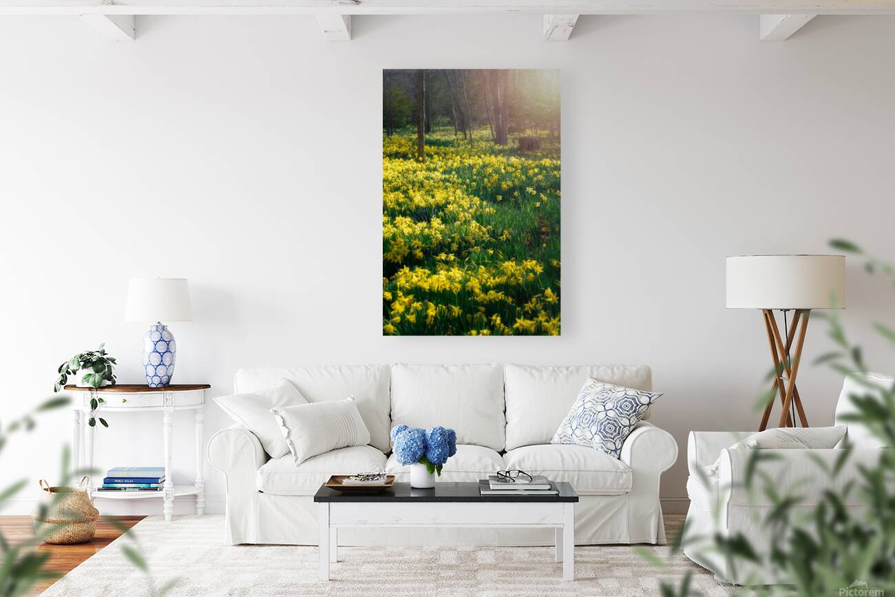 Echoes of Springtime Reproduction