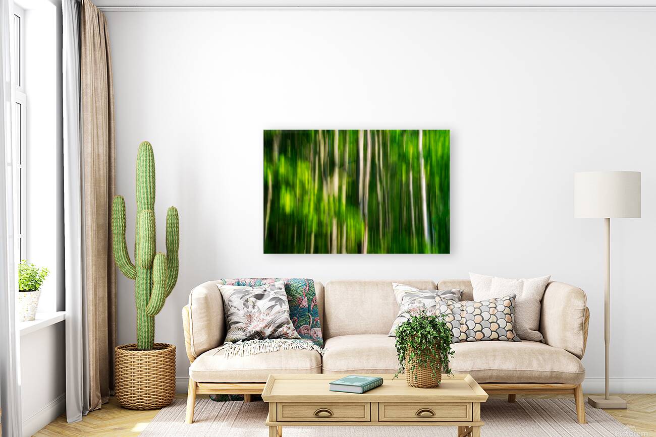 Spring Birches Abstract Reproduction