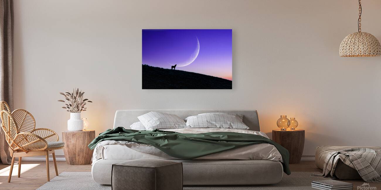Calling The Dawn Reproduction