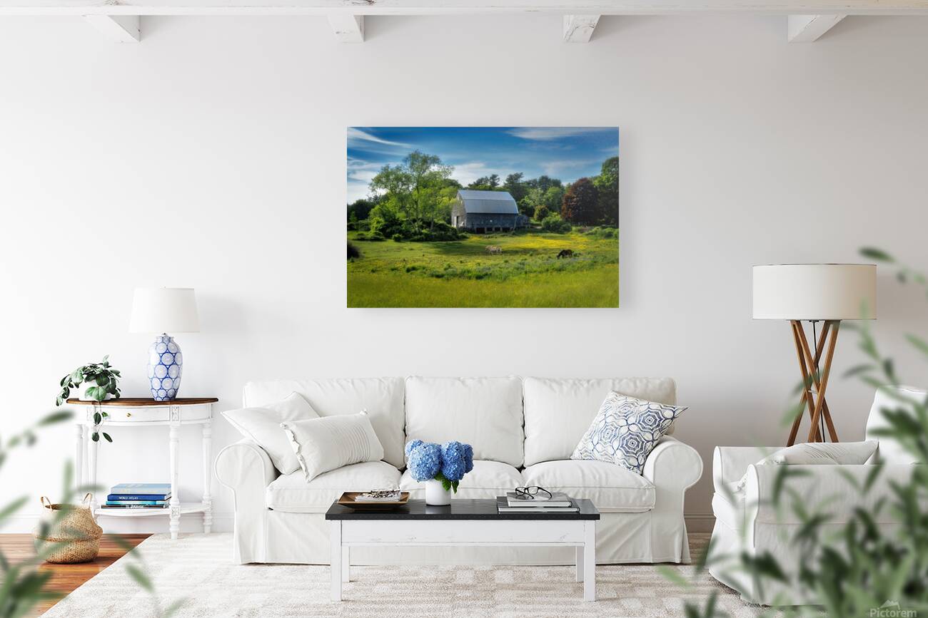 A Quiet Maine Springtime Reproduction