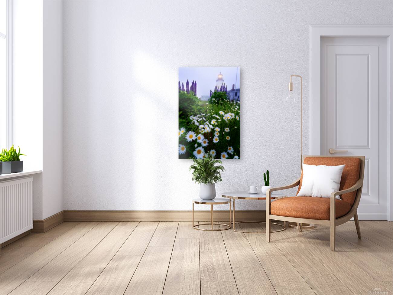 Colorful & Grey Reproduction