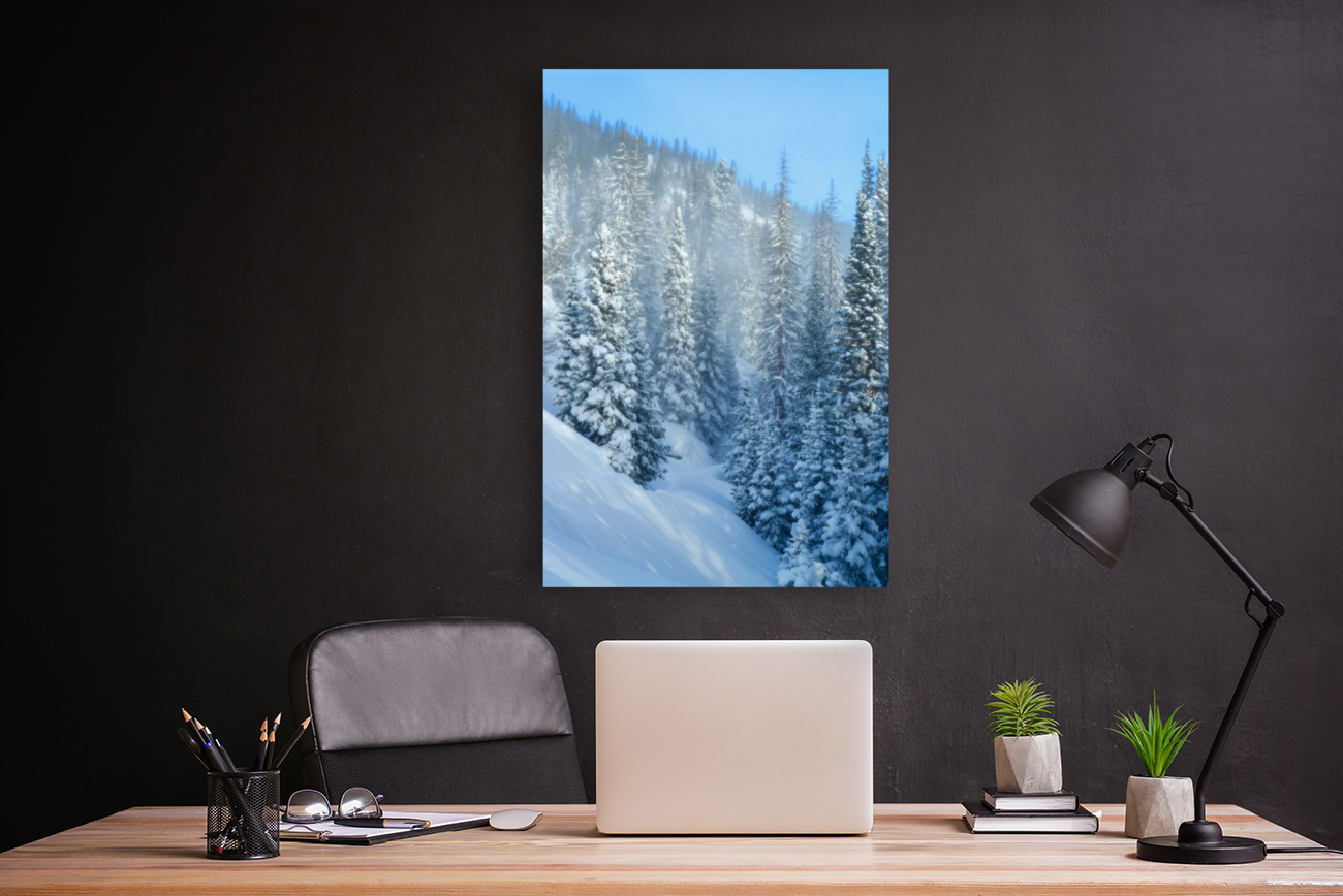 Snowy Spruces Reproduction
