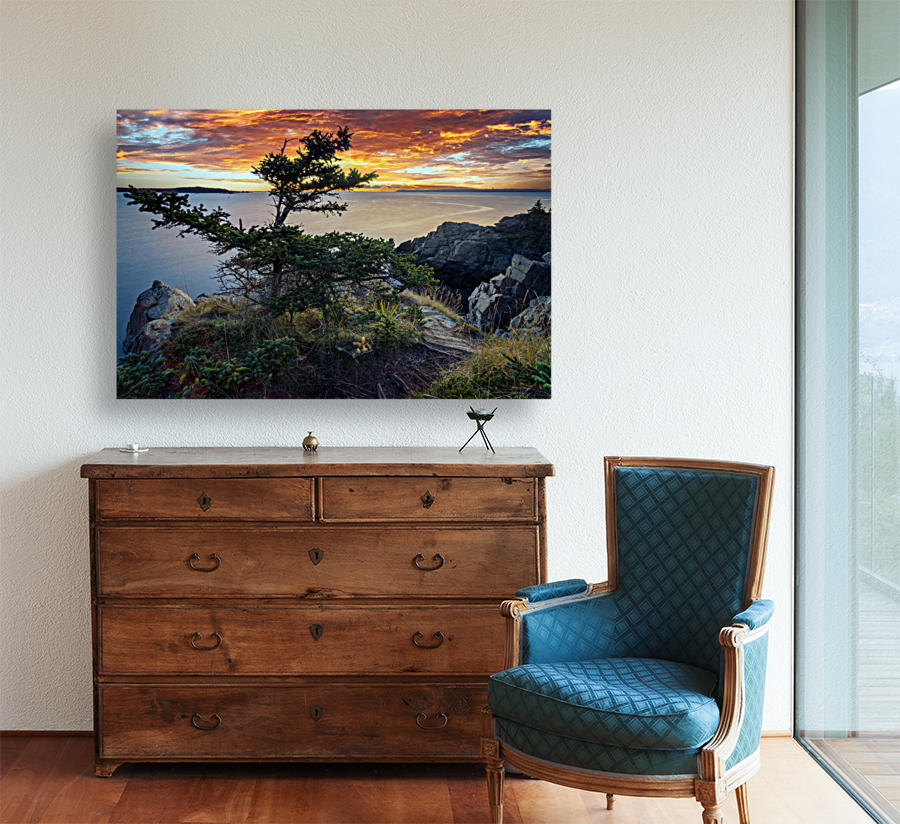 Downeast Dawn Reproduction