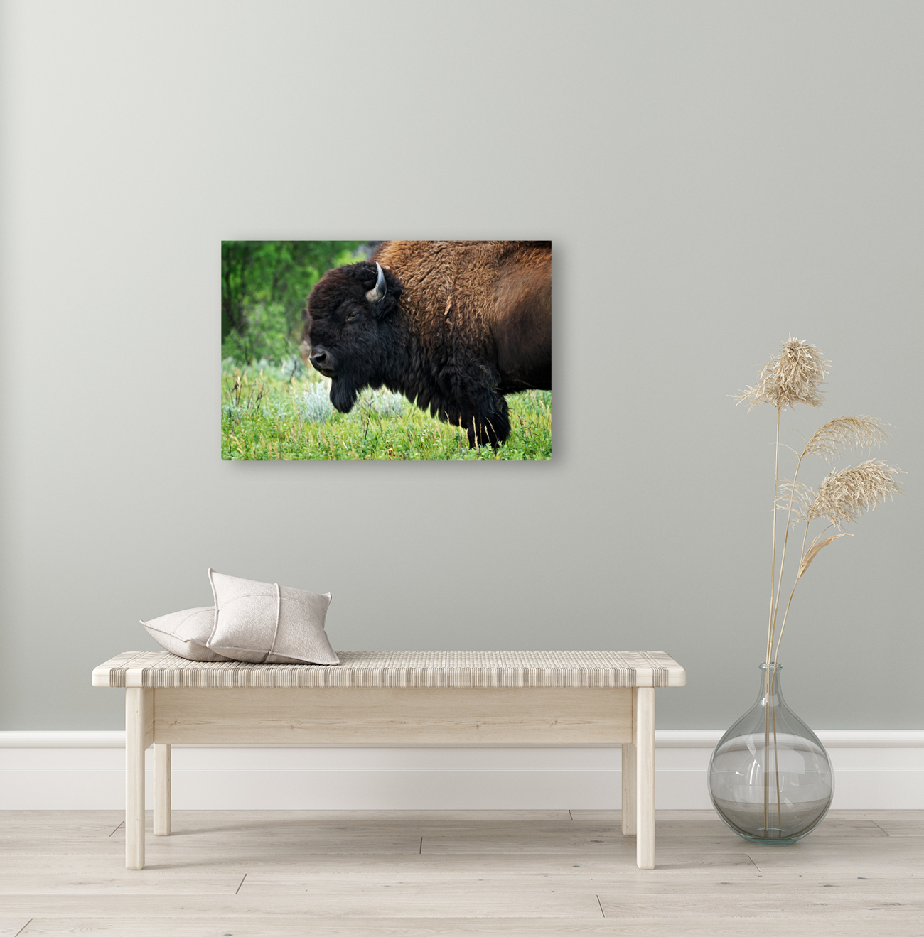 American Bison Reproduction