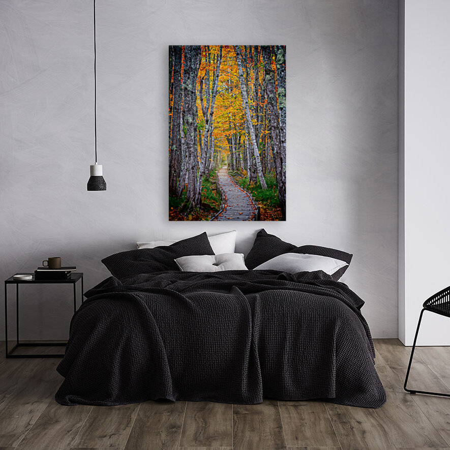 Jesup Path II Reproduction