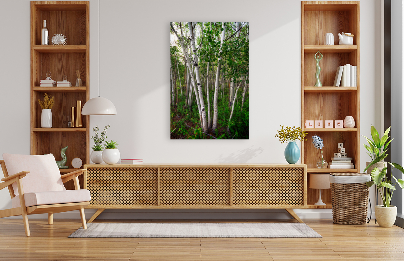 Aspens Reproduction