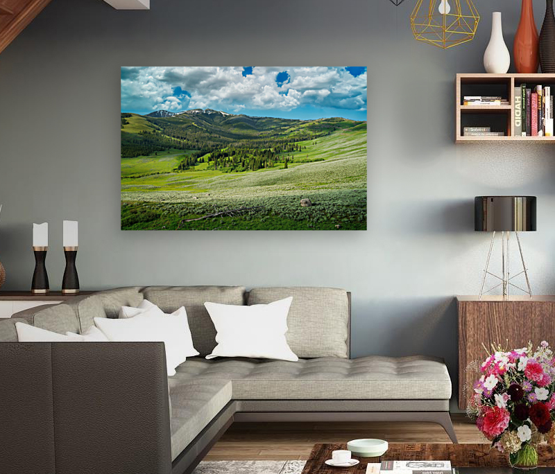 Mount Washburn Reproduction