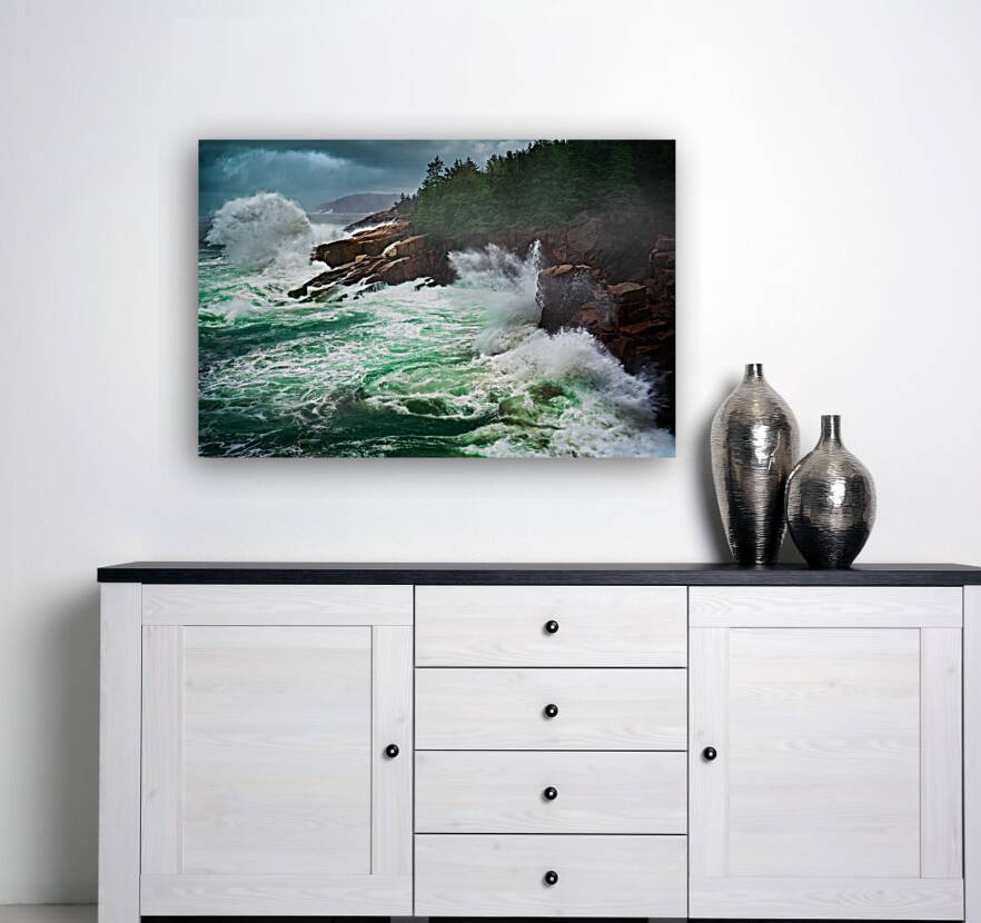 Storm Surge Reproduction
