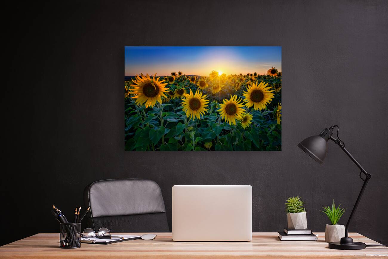 Aroostook Sunset Reproduction