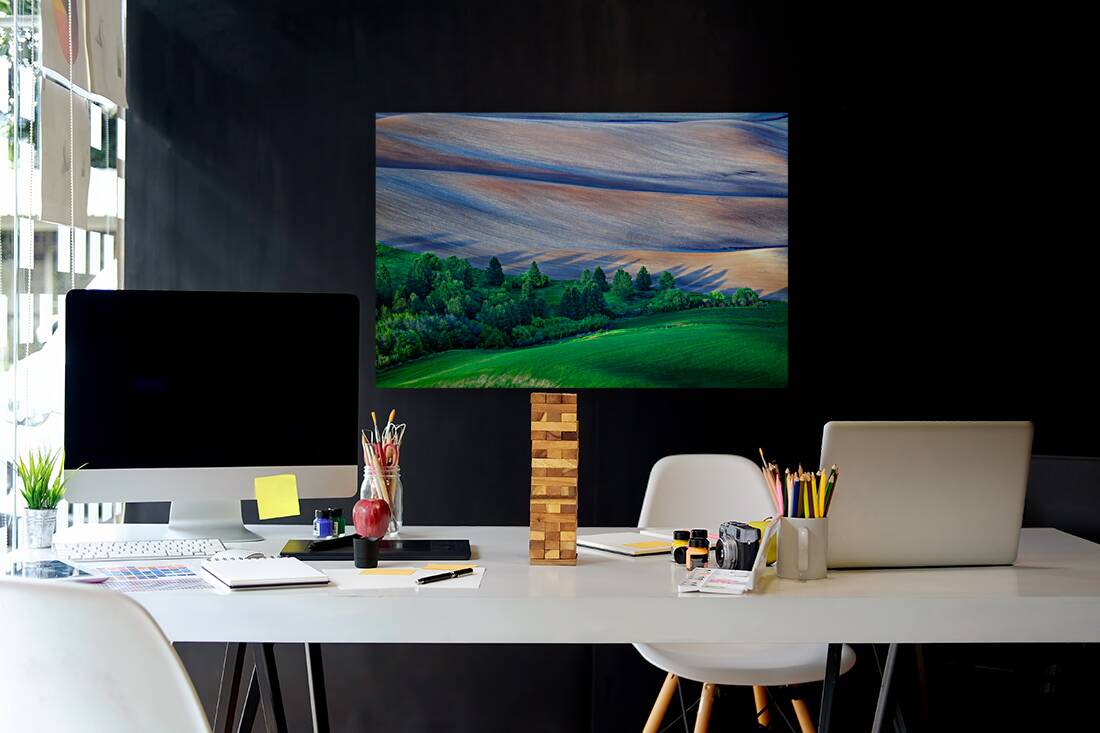 Palouse Shadows Reproduction