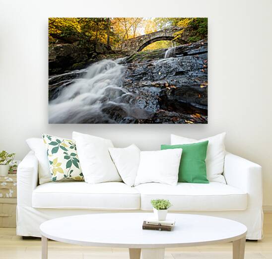 Vaughan Woods Reproduction