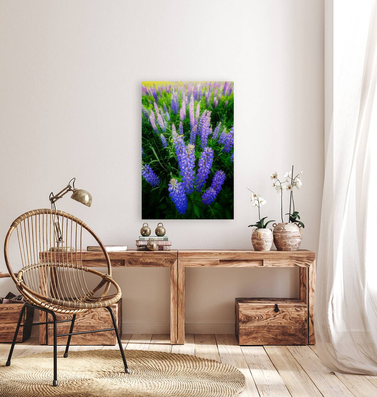 Lupines Reproduction