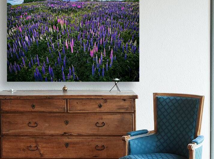 Springtime Symphony by Rick Berk