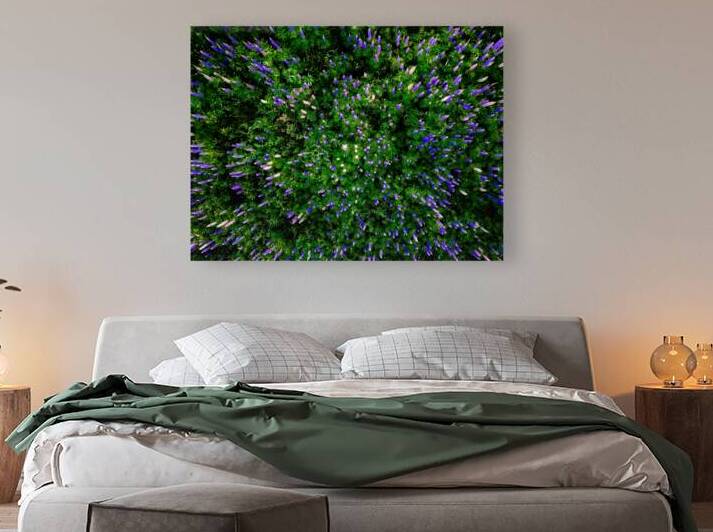 Lupine Kaleidoscope by Rick Berk